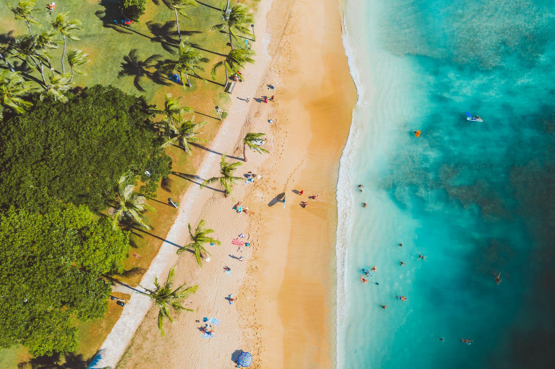 Palm-lined shoreline and turquoise water in the Bahamas