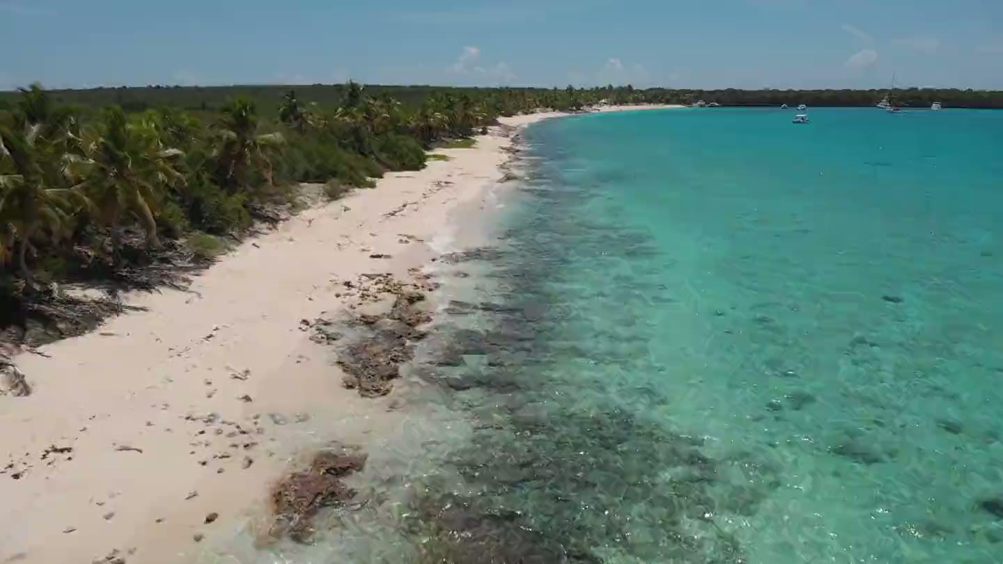 Aerial view of a palm-lined Bahamian beach with turquoise water